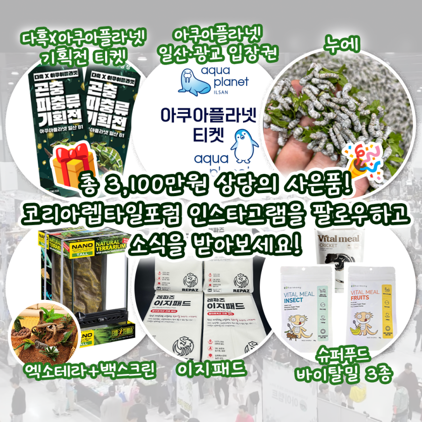 bf29d60056d29171b17bd9fd3e6438da_1736478034_9881.png